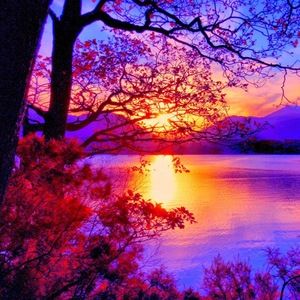 Meet your Posher, Abdullah